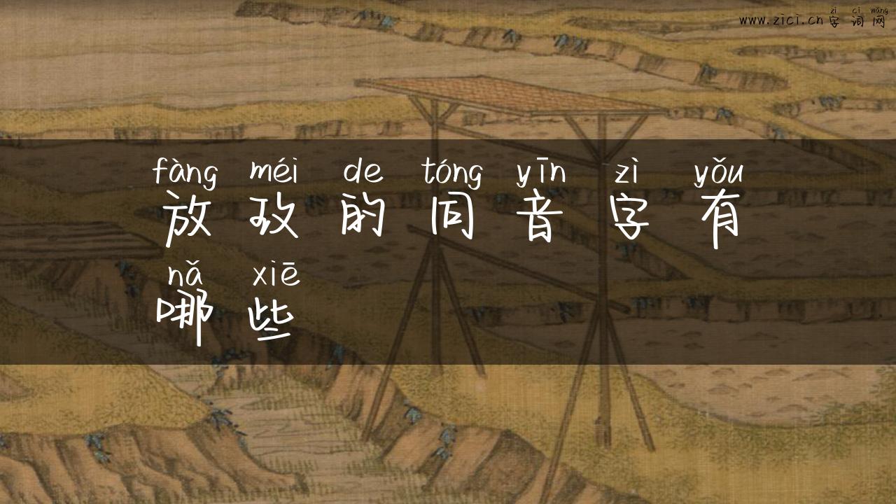 放玫的同音字有哪些