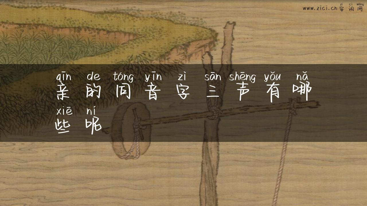 亲的同音字三声有哪些呢
