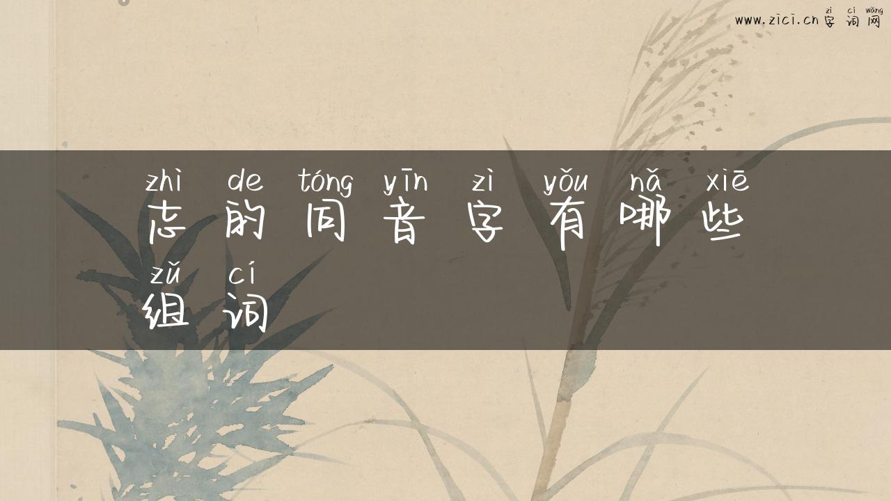 志的同音字有哪些组词
