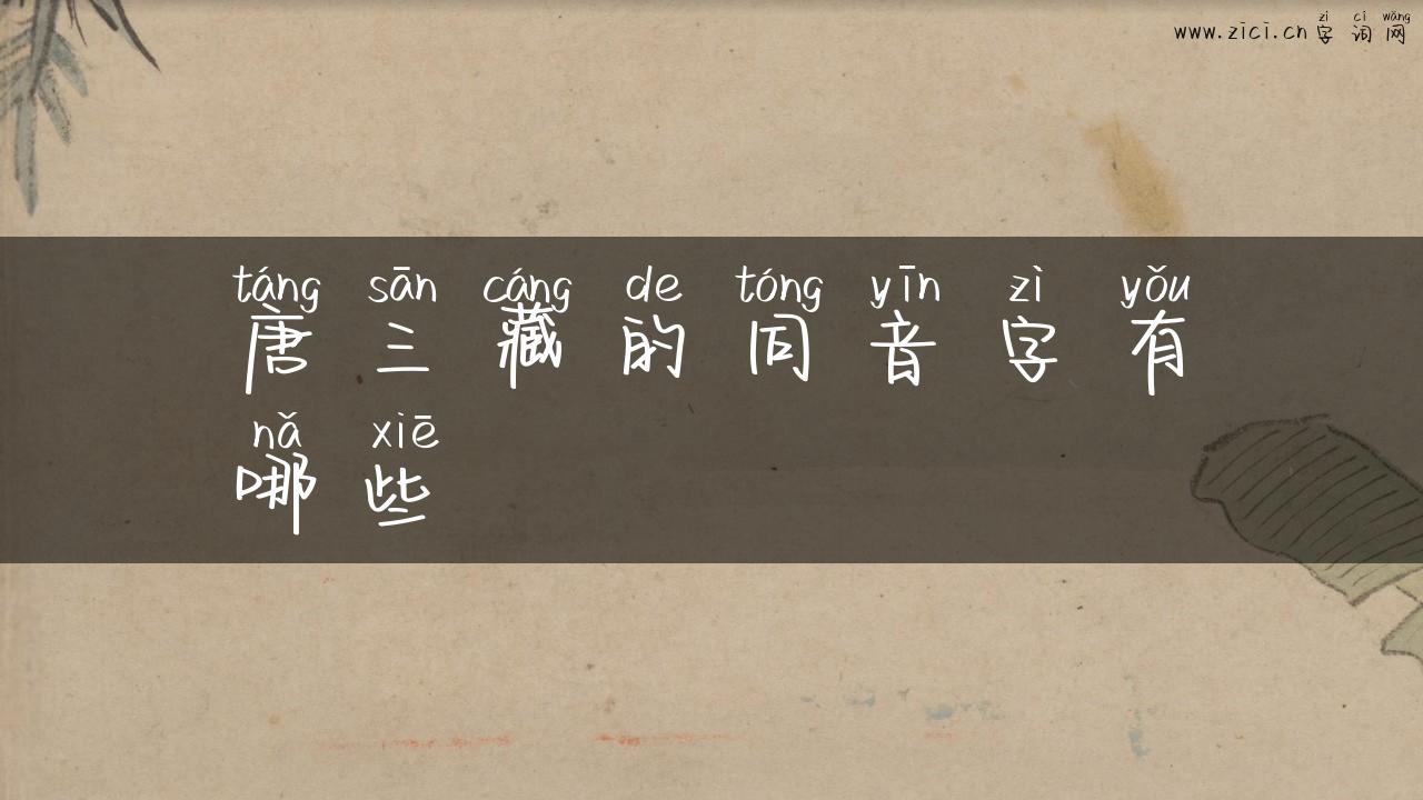 唐三藏的同音字有哪些