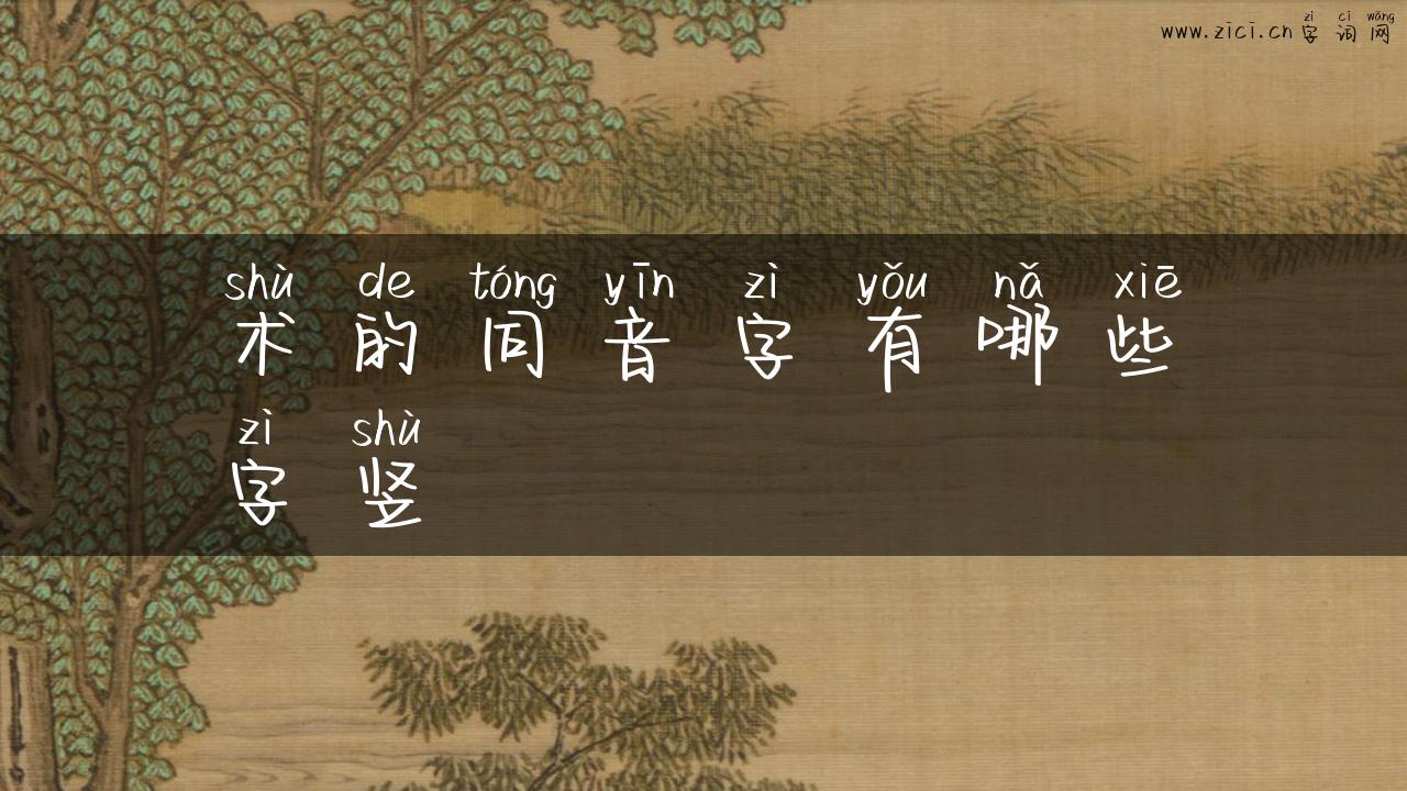 术的同音字有哪些字竖