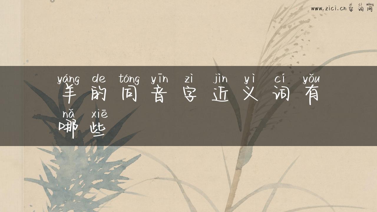 羊的同音字近义词有哪些