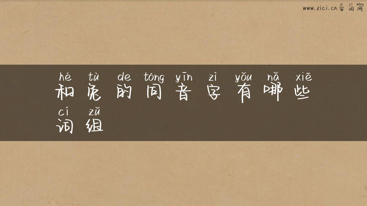 和兔的同音字有哪些词组