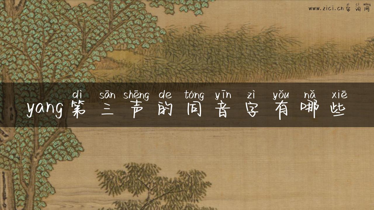 yang第三声的同音字有哪些
