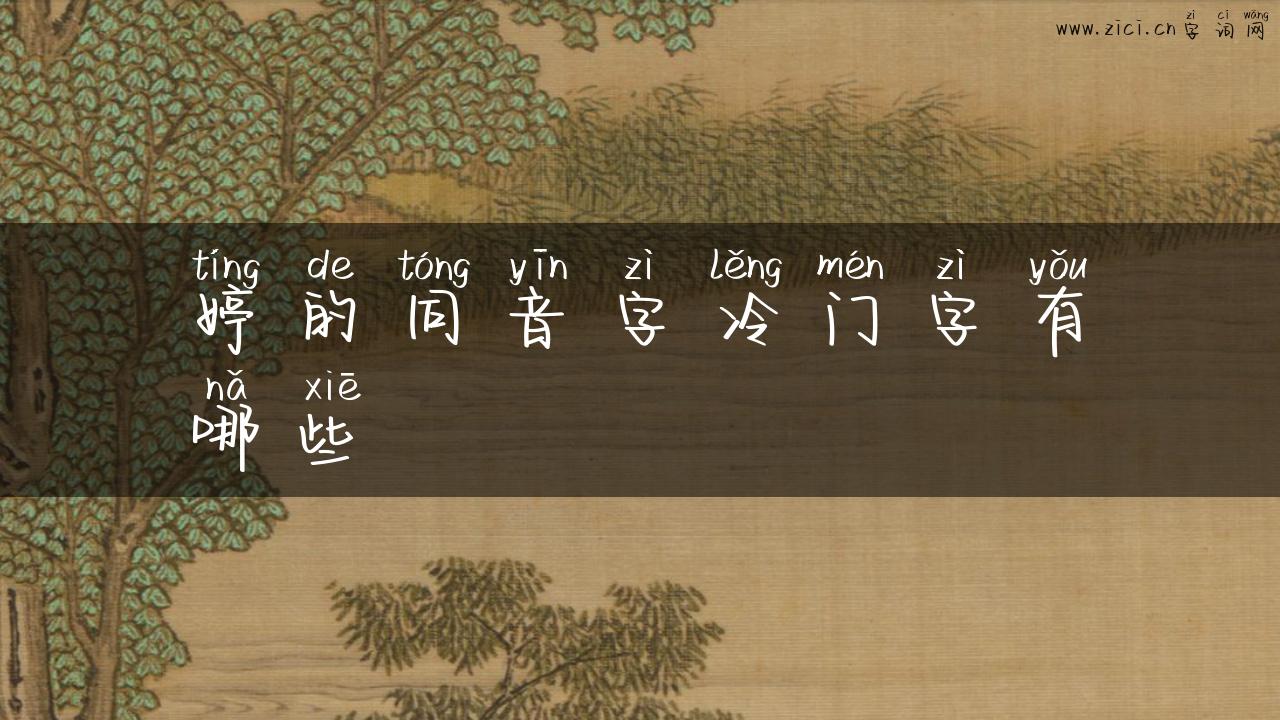 婷的同音字冷门字有哪些
