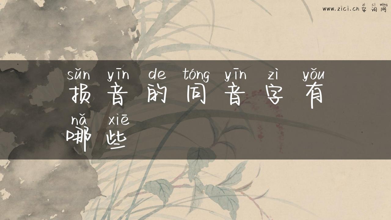 损音的同音字有哪些