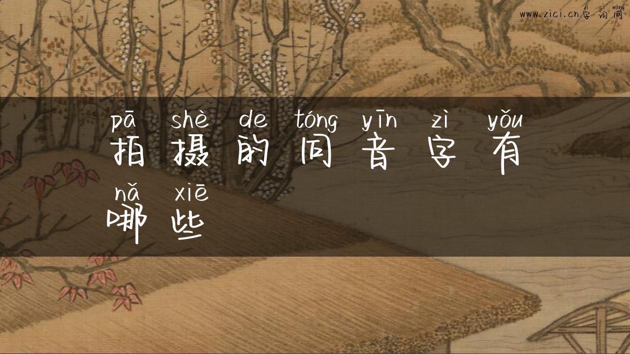 拍摄的同音字有哪些