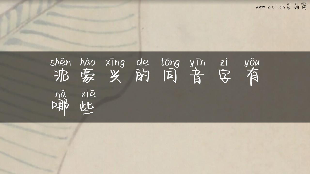 沈豪兴的同音字有哪些