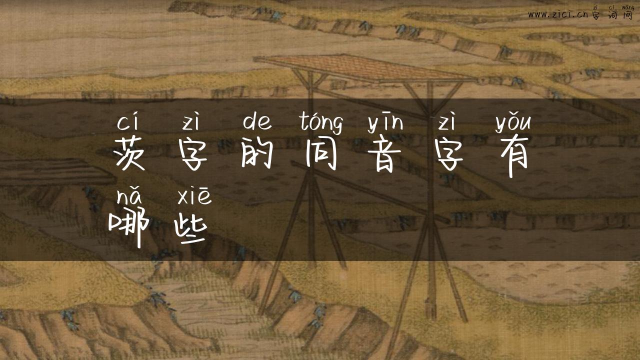 茨字的同音字有哪些