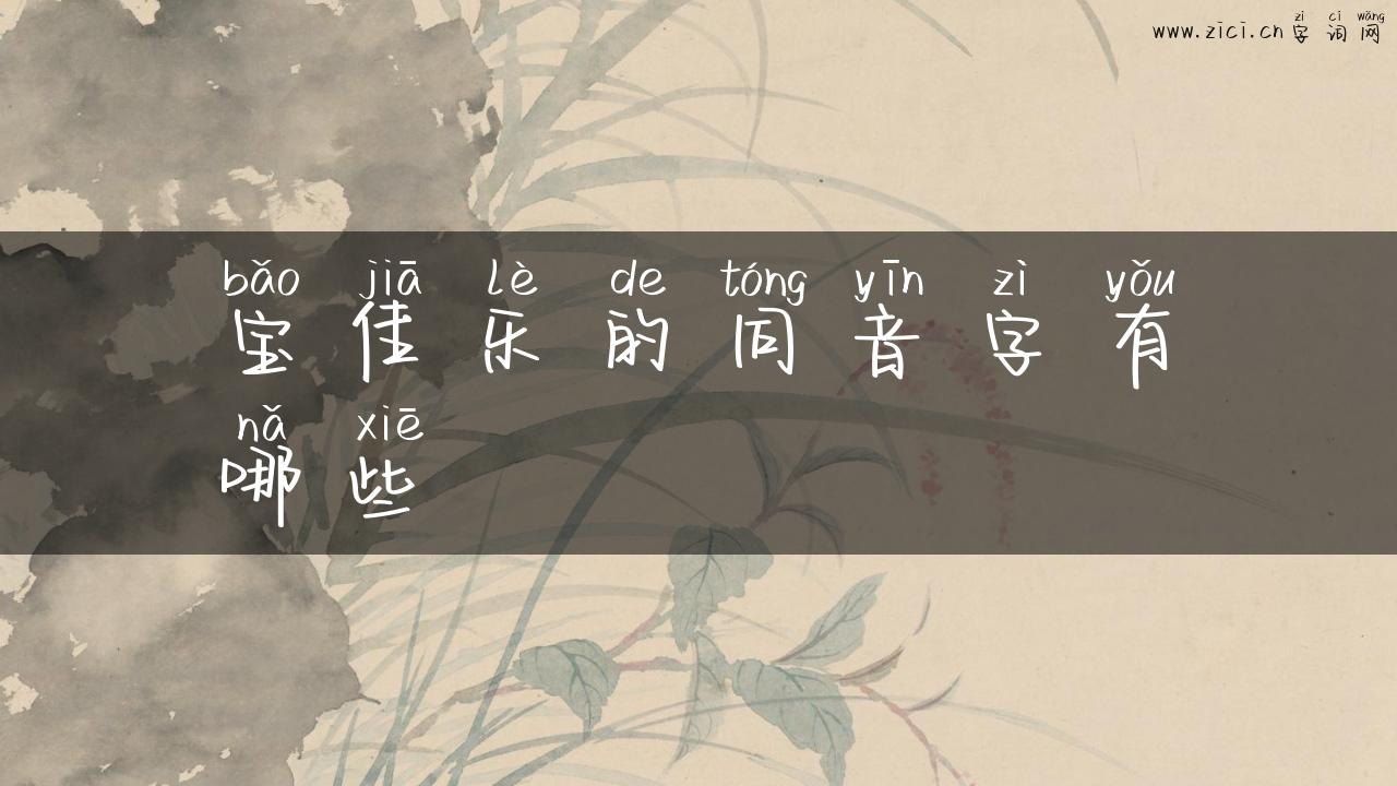 宝佳乐的同音字有哪些
