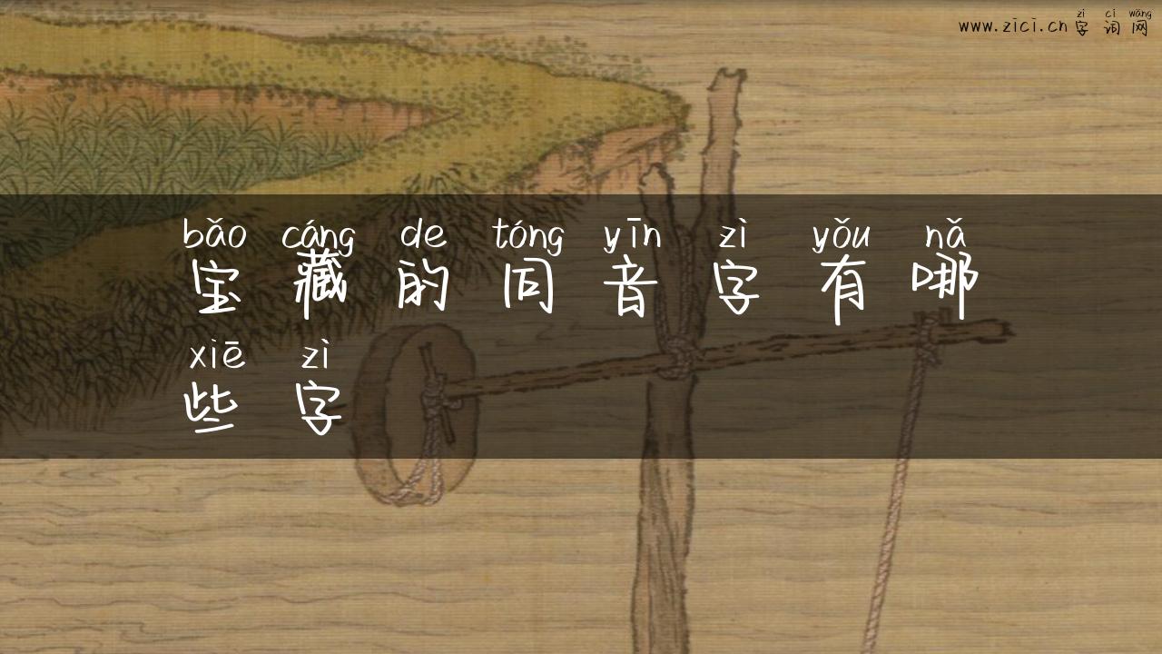 宝藏的同音字有哪些字