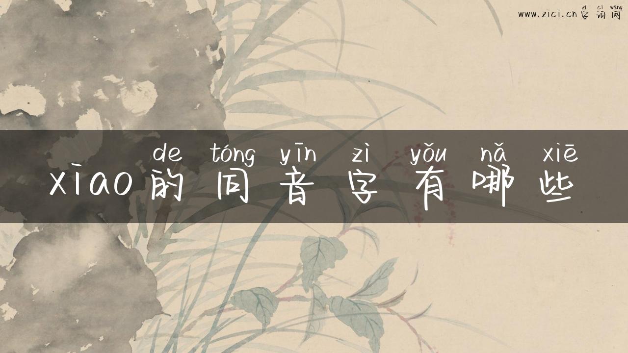 xiao的同音字有哪些