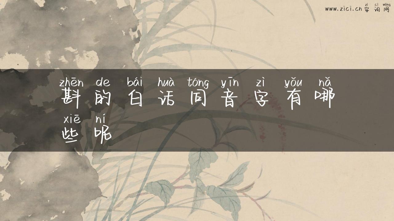 斟的白话同音字有哪些呢