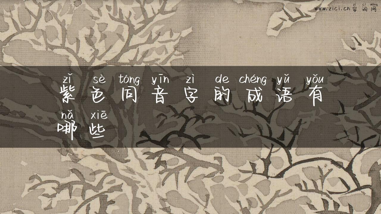 紫色同音字的成语有哪些