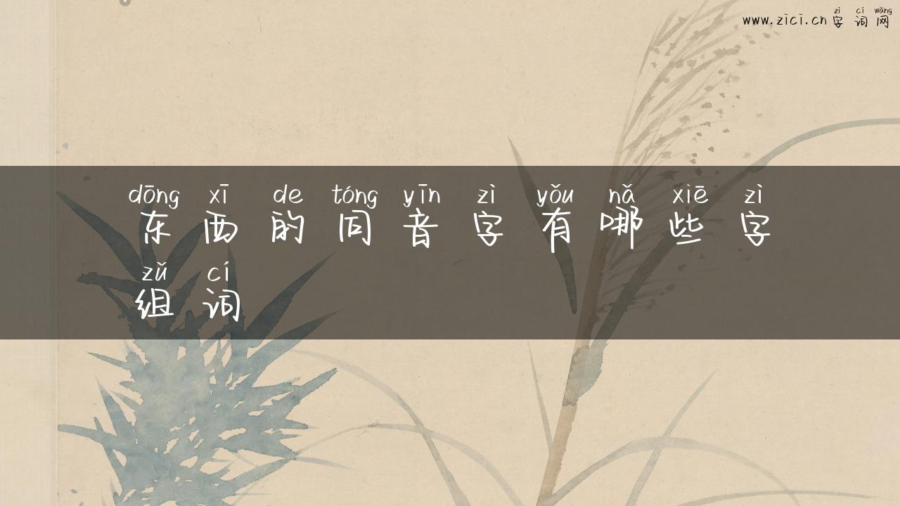 东西的同音字有哪些字组词