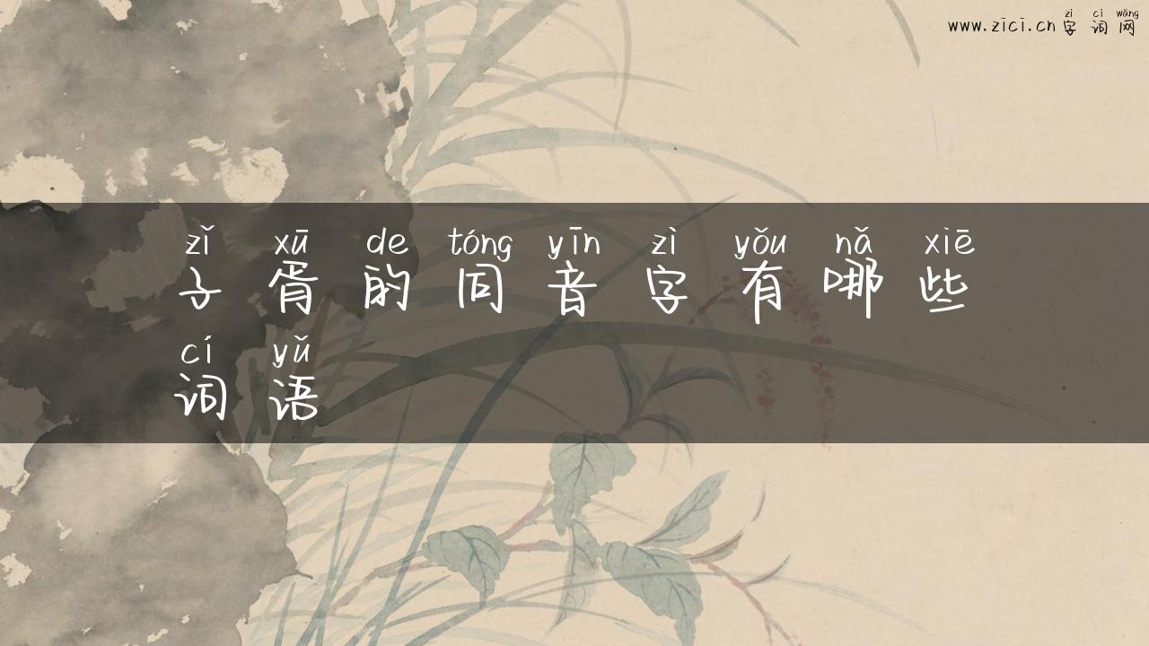 子胥的同音字有哪些词语