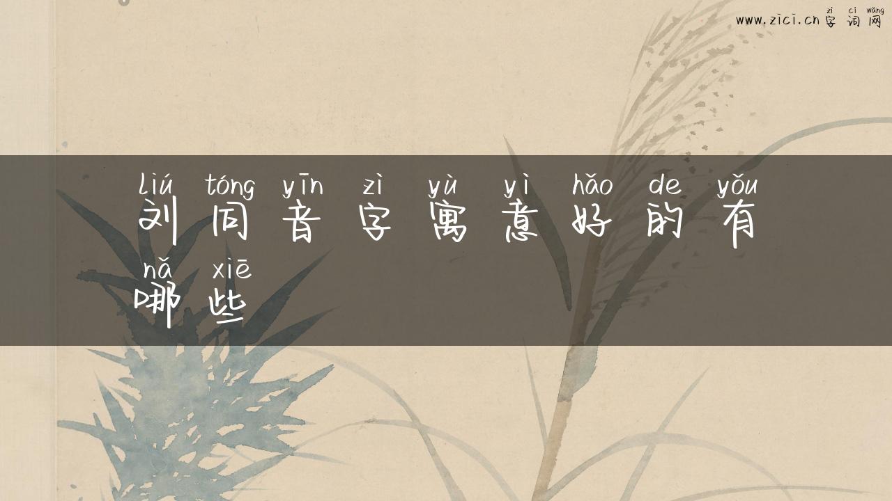 刘同音字寓意好的有哪些