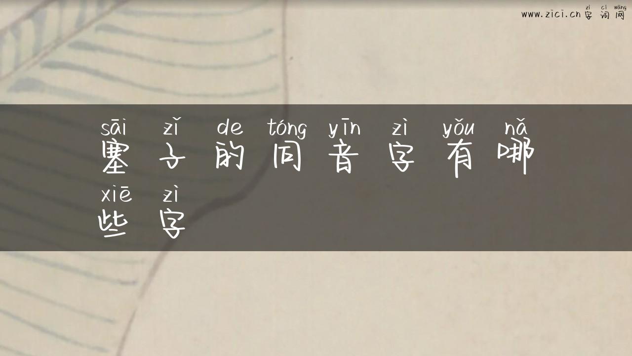塞子的同音字有哪些字