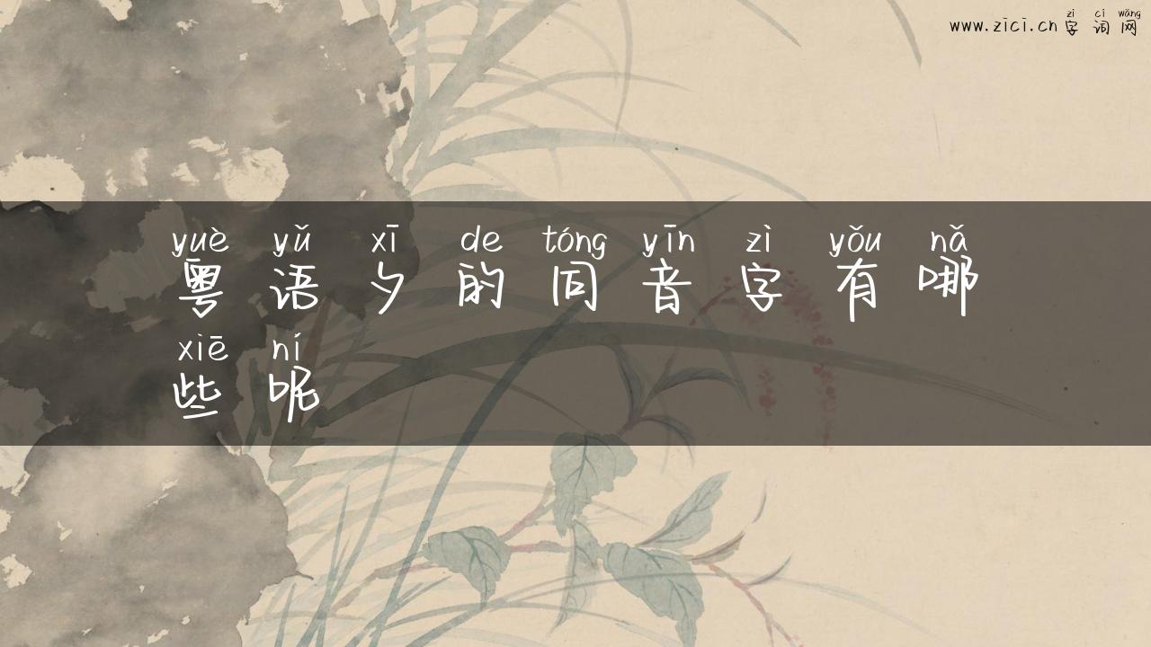 粤语夕的同音字有哪些呢