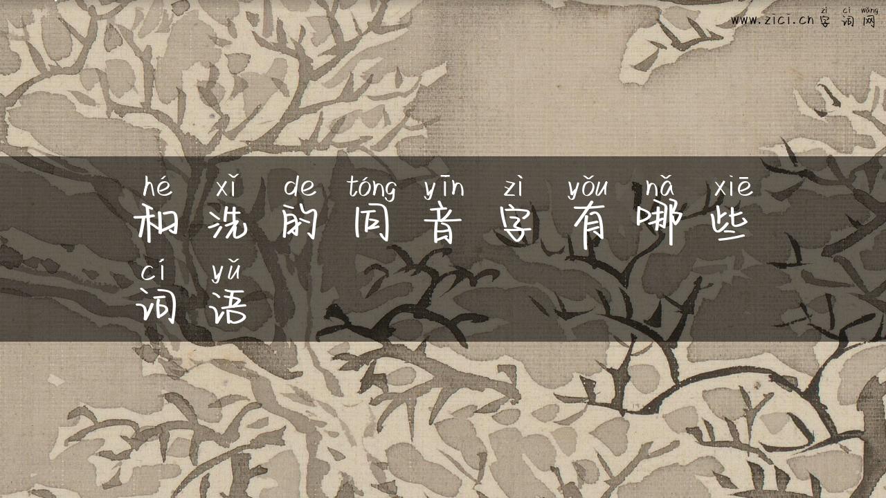 和洗的同音字有哪些词语
