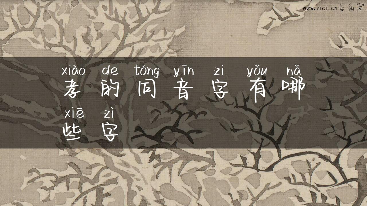 孝的同音字有哪些字