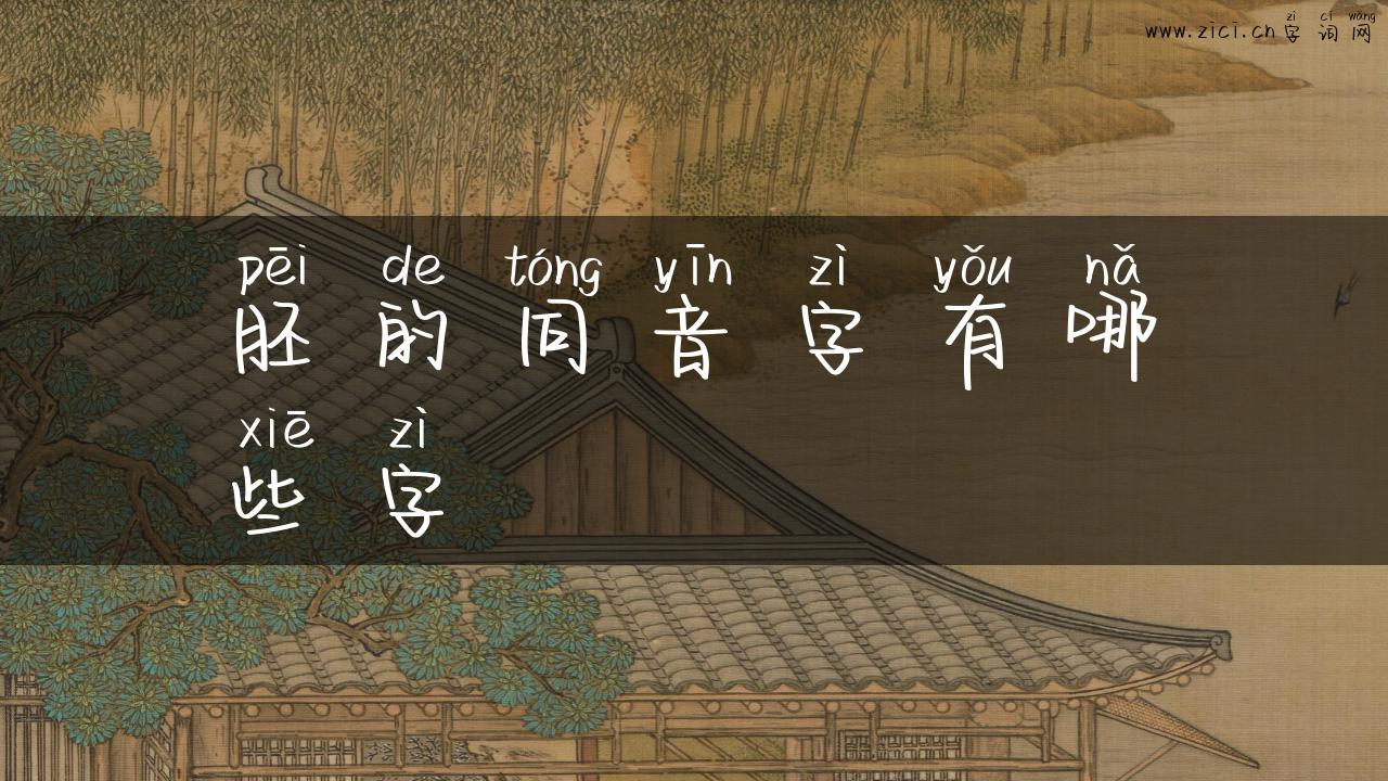胚的同音字有哪些字