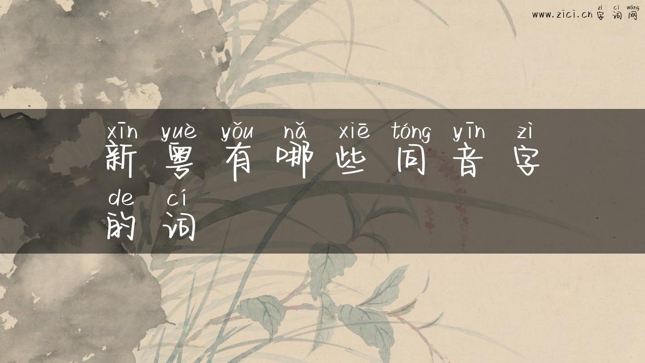 新粤有哪些同音字的词