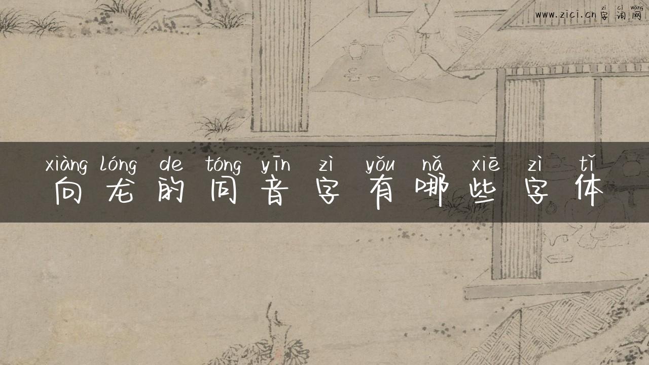 向龙的同音字有哪些字体