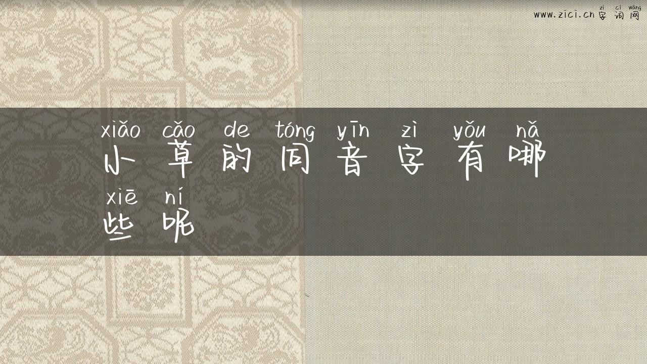 小草的同音字有哪些呢