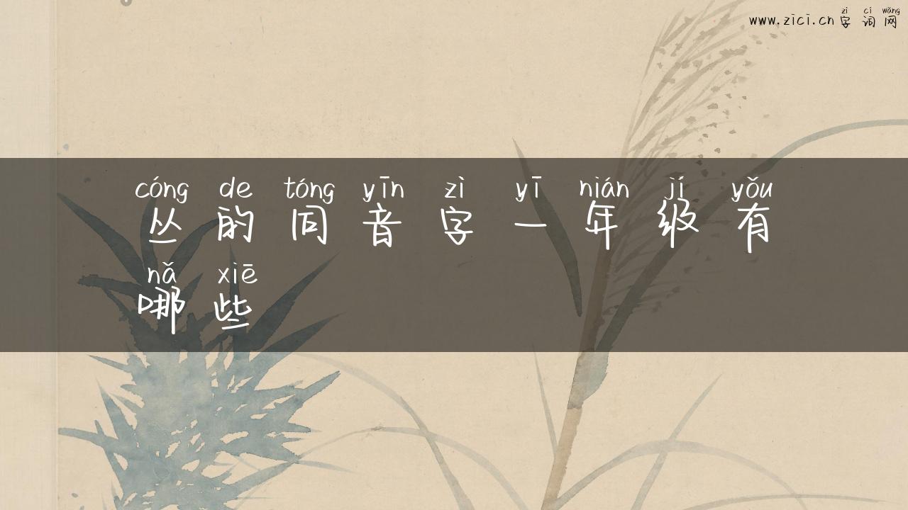 丛的同音字一年级有哪些
