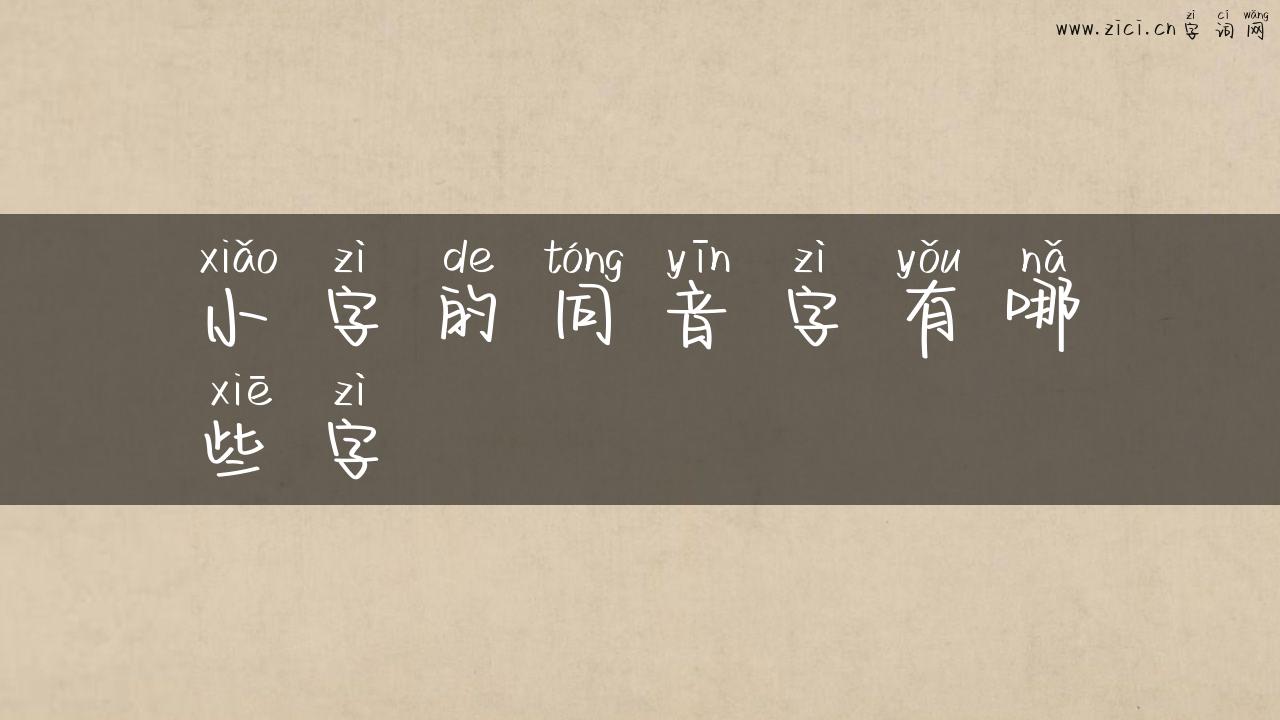 小字的同音字有哪些字
