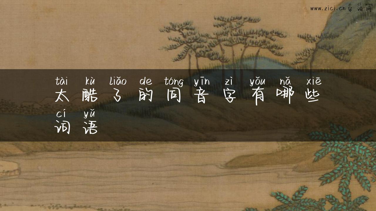 太酷了的同音字有哪些词语