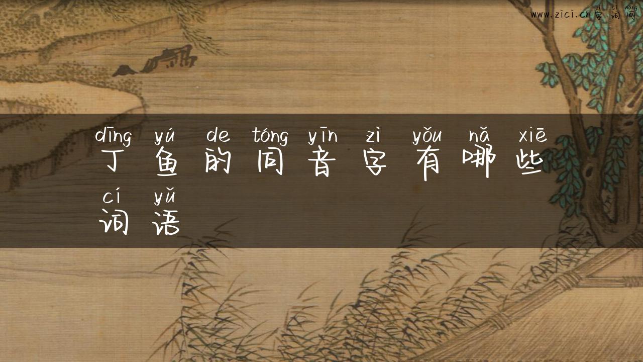 丁鱼的同音字有哪些词语
