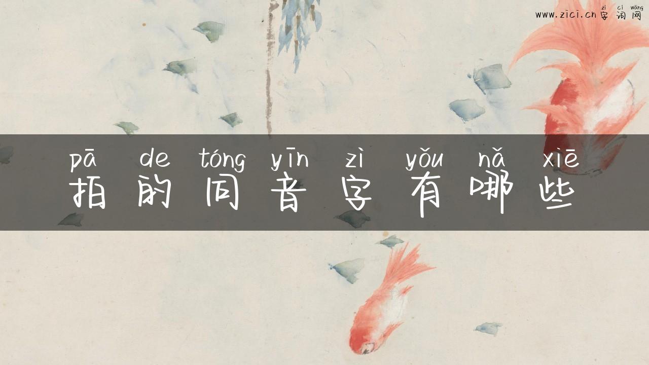拍的同音字有哪些