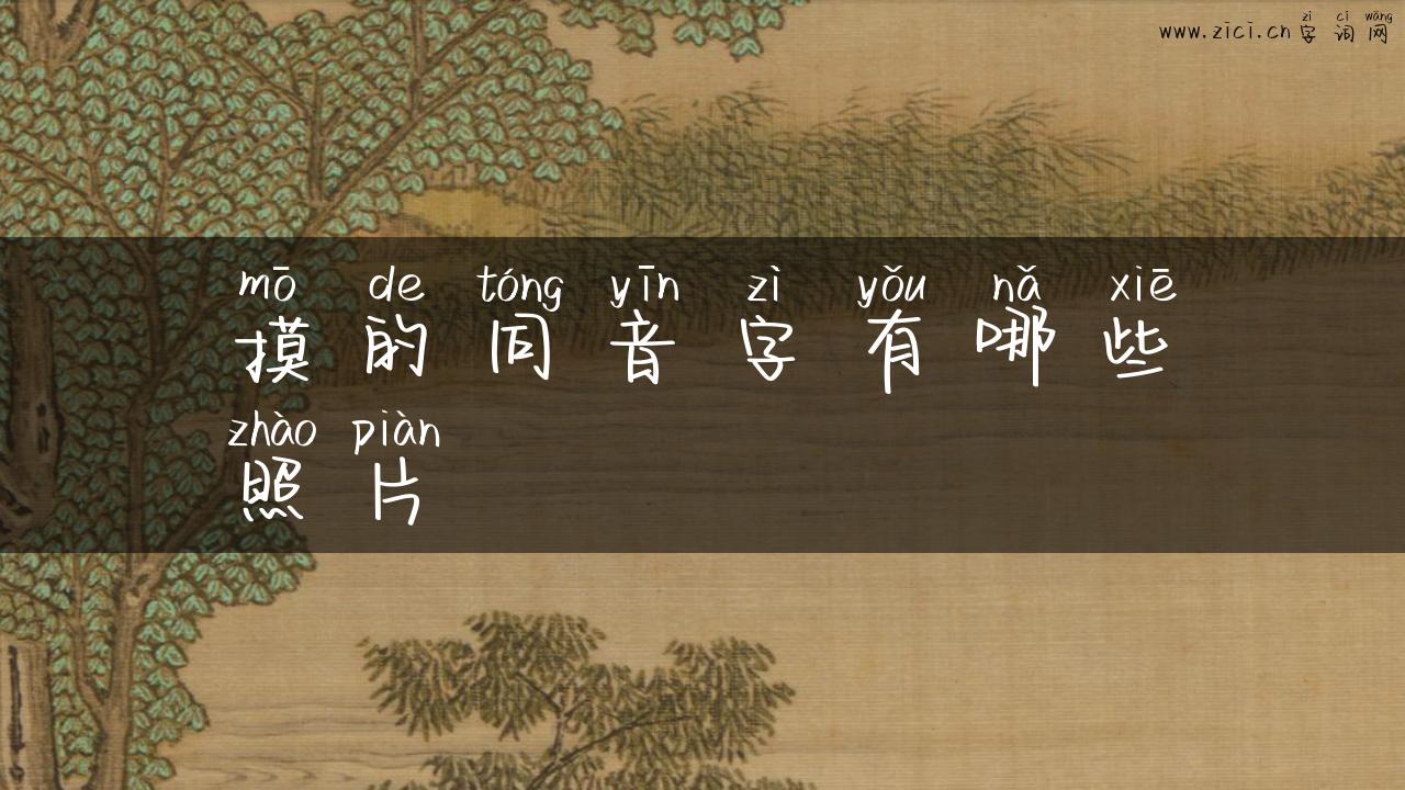 摸的同音字有哪些照片