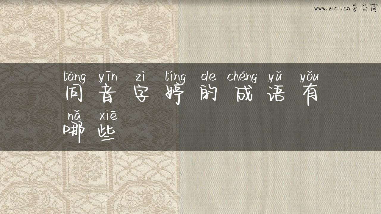 同音字婷的成语有哪些