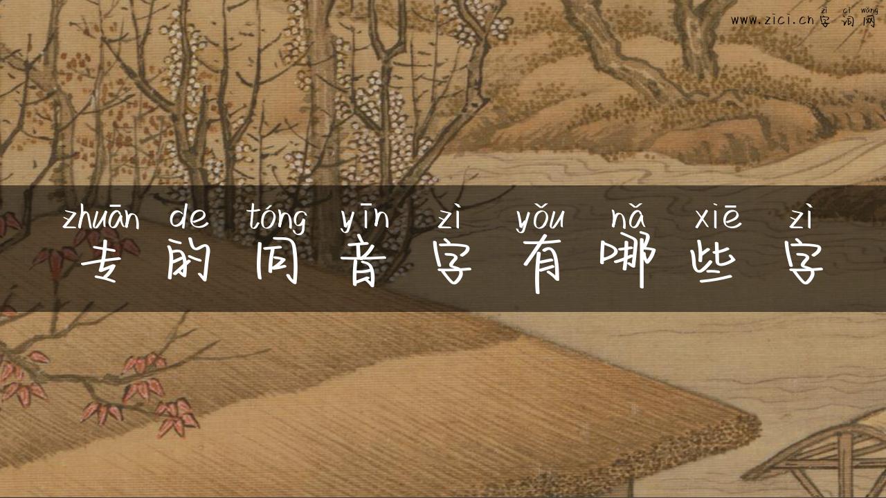 专的同音字有哪些字