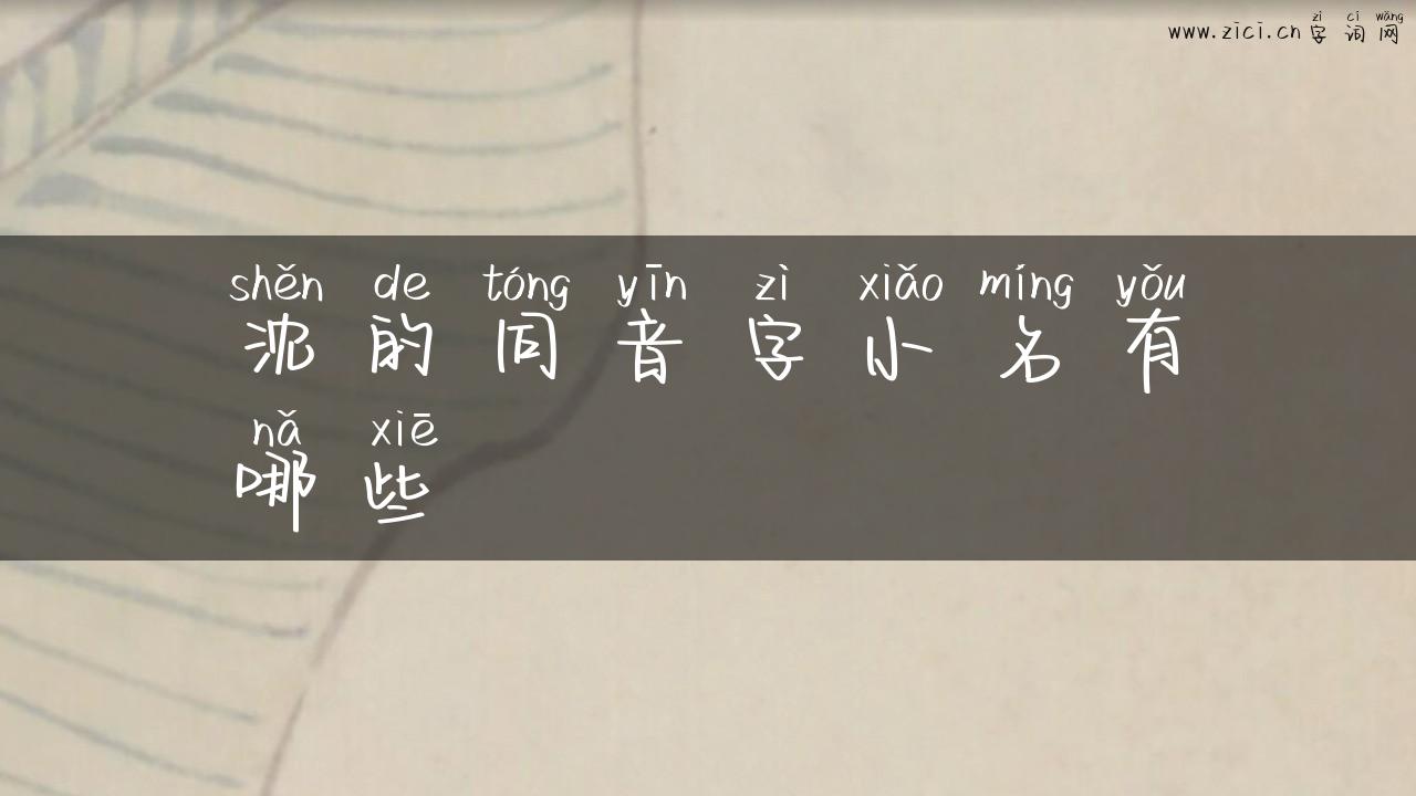 沈的同音字小名有哪些