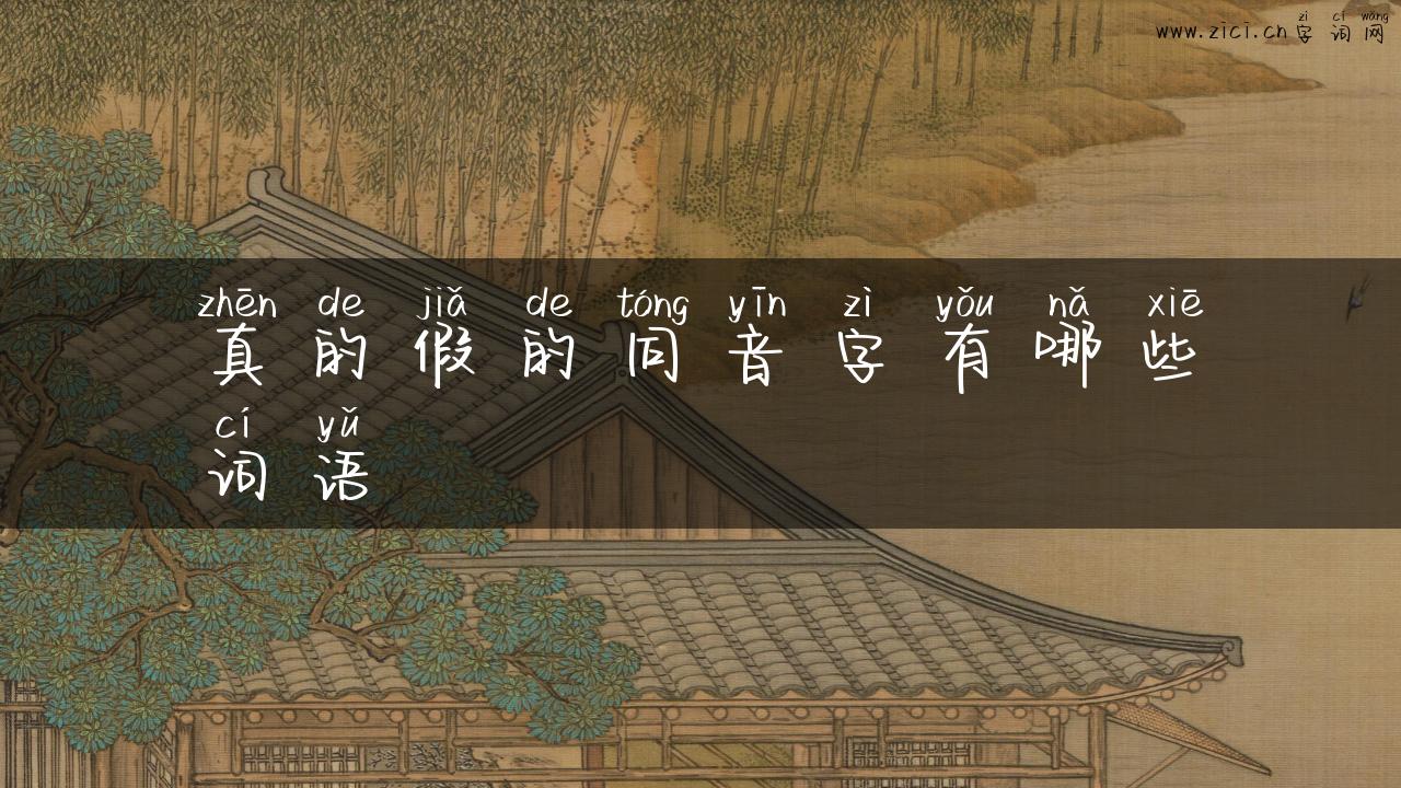 真的假的同音字有哪些词语