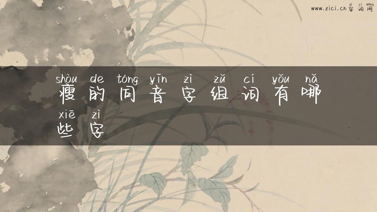 瘦的同音字组词有哪些字