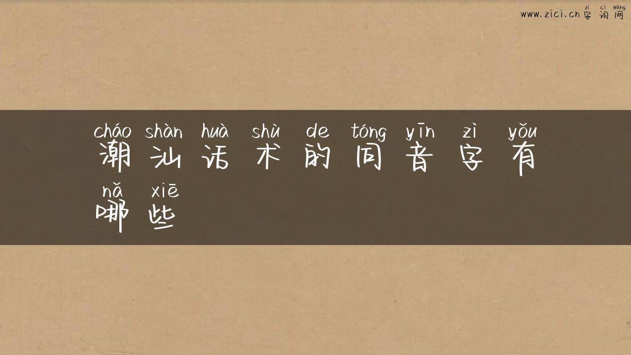 潮汕话术的同音字有哪些