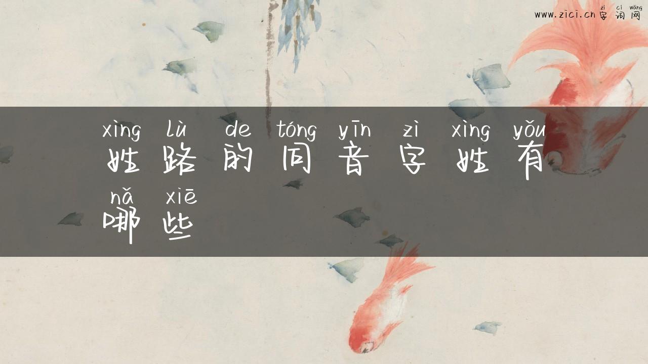 姓路的同音字姓有哪些