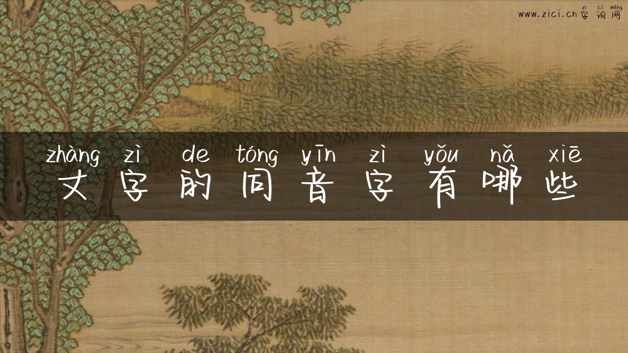 丈字的同音字有哪些