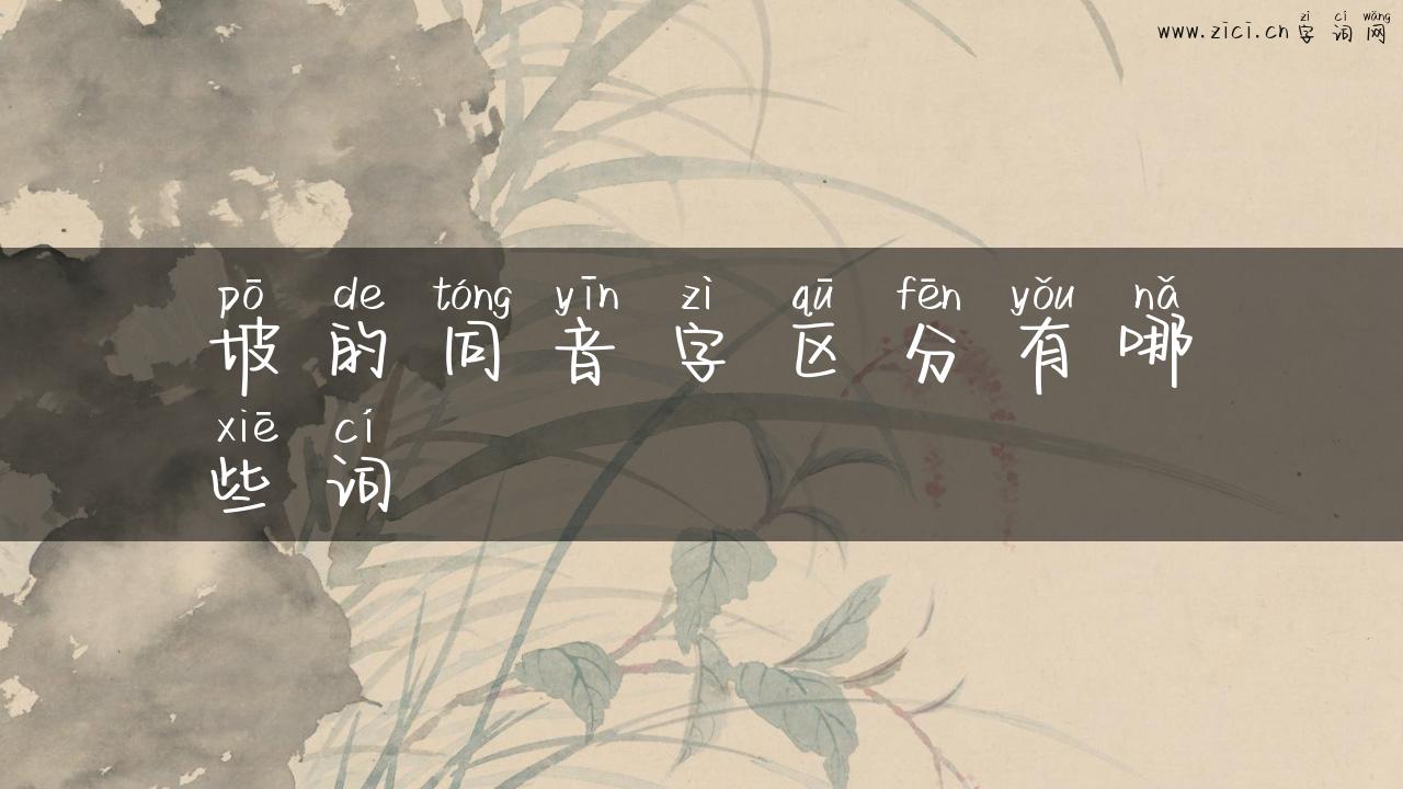 坡的同音字区分有哪些词