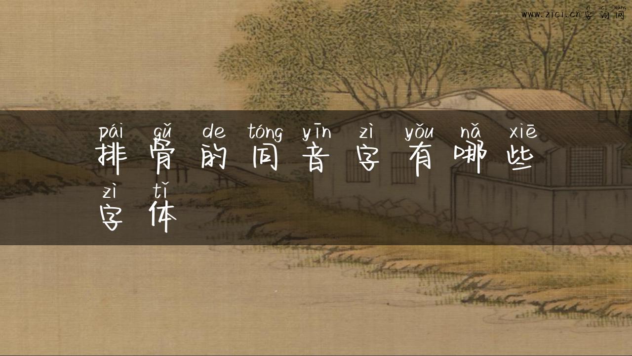 排骨的同音字有哪些字体