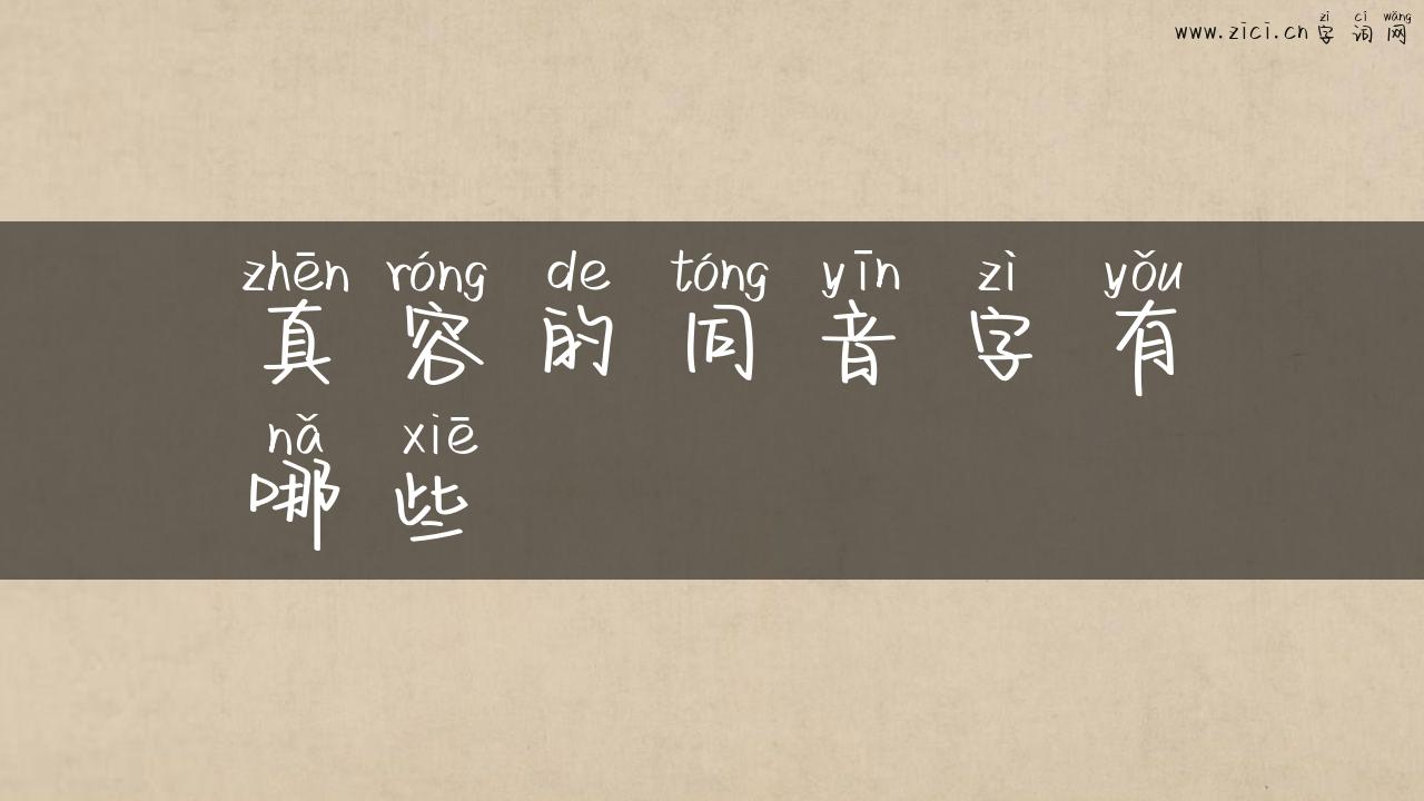 真容的同音字有哪些