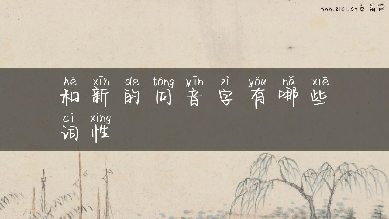 和新的同音字有哪些词性