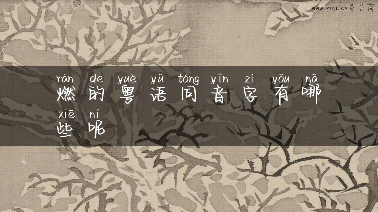 燃的粤语同音字有哪些呢