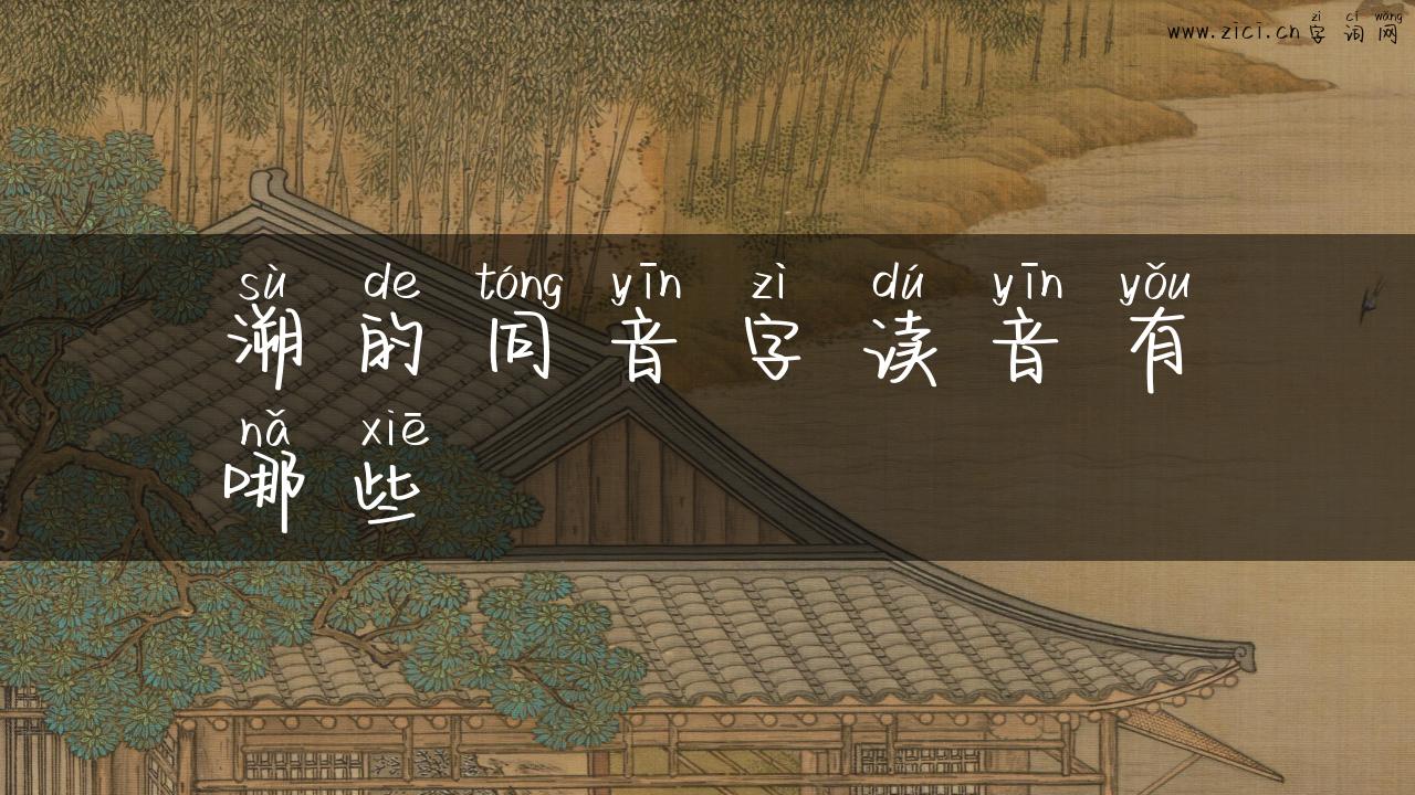 溯的同音字读音有哪些