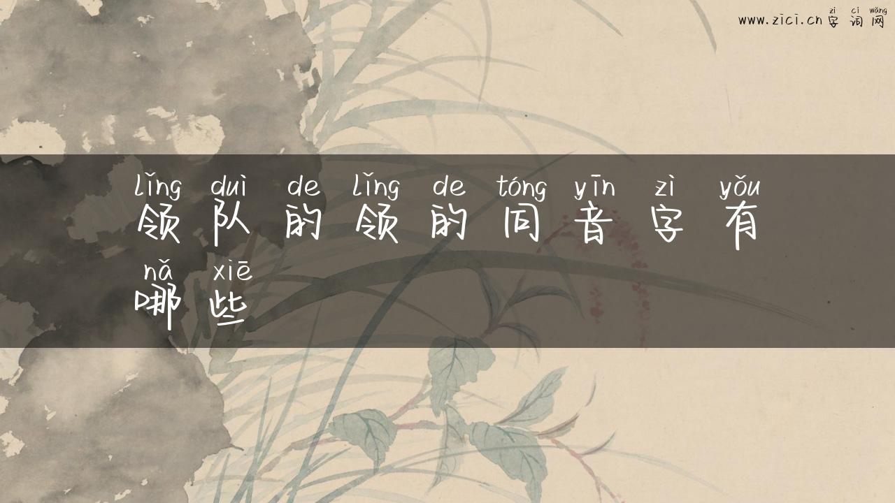 领队的领的同音字有哪些